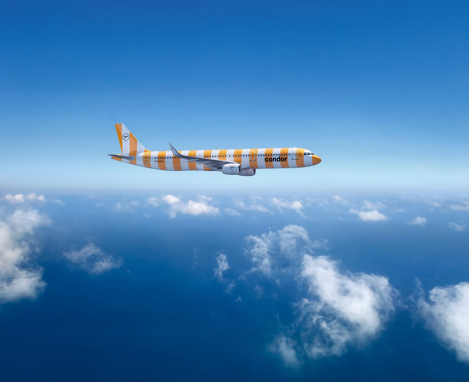 Condor Flugzeug über den Wolken