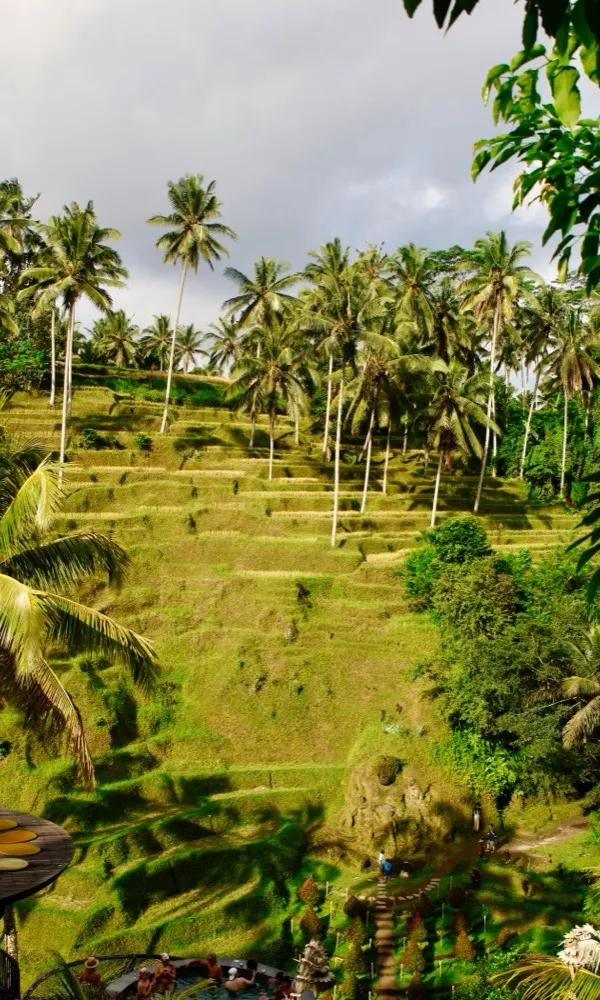 Bali Urlaub buchen