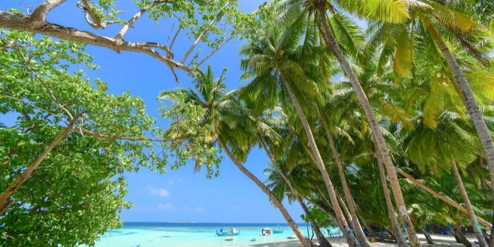 Bahamas Reiseziel – Urlaub & Pauschalreise